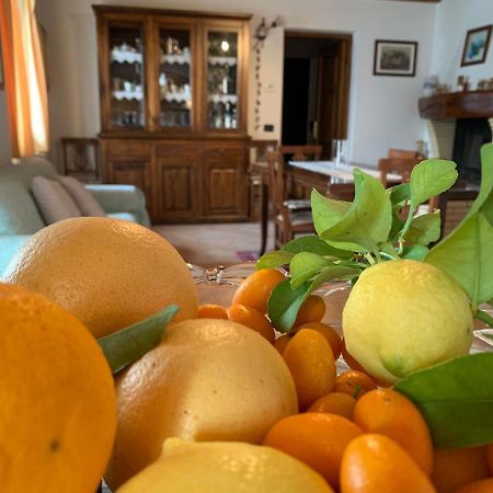 Villa Panorama Gargnano Dış mekan fotoğraf