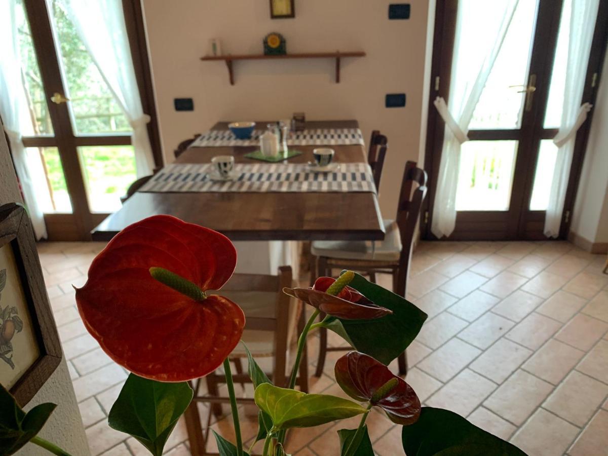 Villa Panorama Gargnano Dış mekan fotoğraf